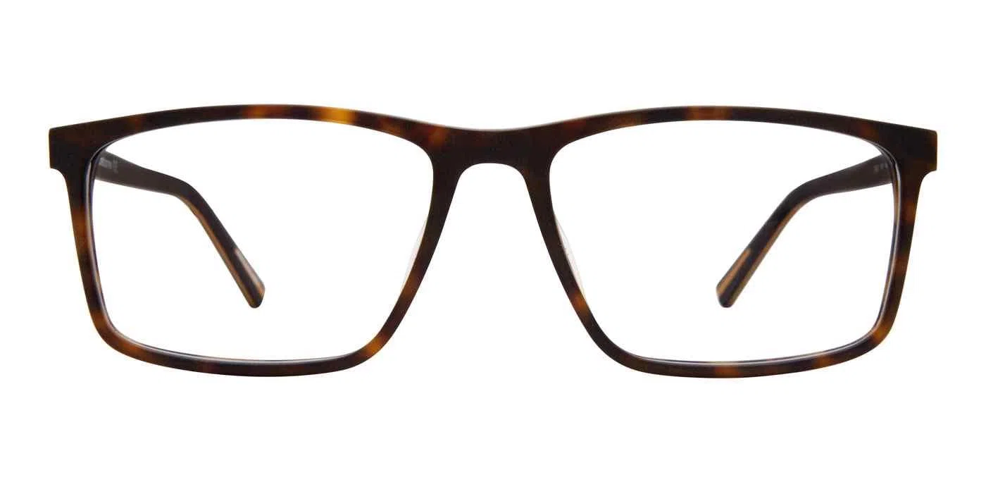 Claiborne 322 Eyeglasses - view 12